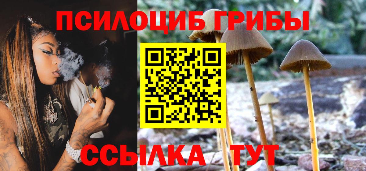 Псилоцибиновые грибы мухоморы Ачинск