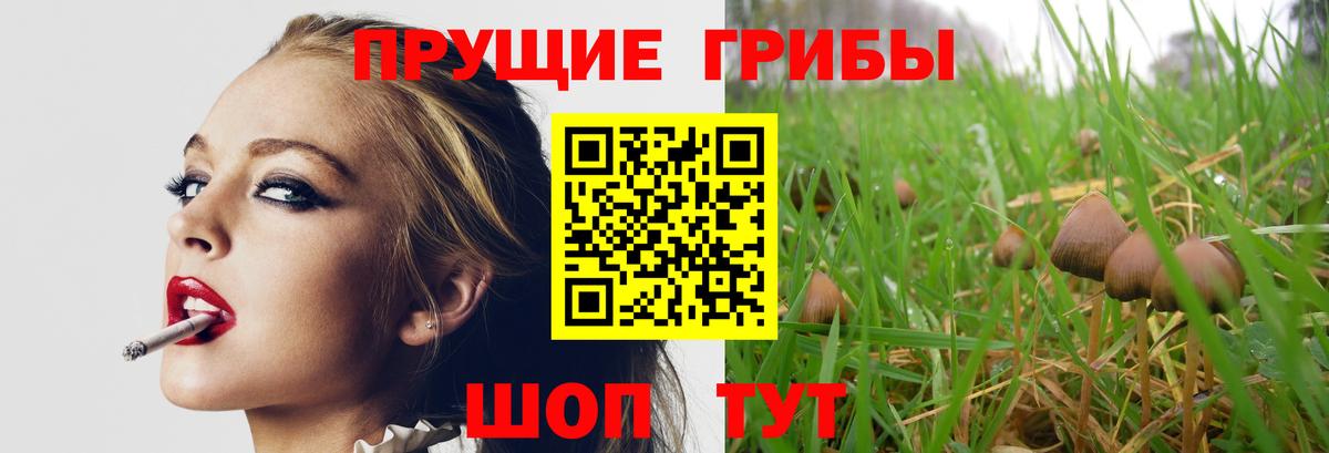 Ачинск  Псилоцибиновые грибы Magic Shrooms  Псилоцибиновые грибы ЛСД  Вход с VPN 